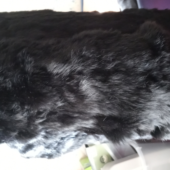 Exquisite Black Rabbit Fur - Picture 6 of 7